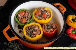 Grillfürst Emaillierter Dutch Oven Ohne Füsse DO12 - Rot -Küchengrill Rabatt Grillfuerst Dutch Oven emailliert Beispiel DO7 5 orange 1