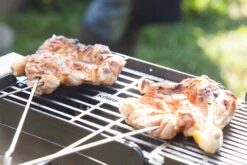 Knister Grill Original - Ausziehbarer Holzkohle Kompaktgrill -Küchengrill Rabatt Knister Grill Spiesse