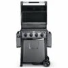 Napoleon Freestyle 425 Gasgrill, Graphit - Modell 2023 -Küchengrill Rabatt Napoleon Freestyle 425 Gasgrill deckel offen