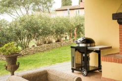 Napoleon Holzkohlegrill Kugelgrill Ø 57cm Im Rollwagen Mit Gussrost Und Deckelscharnier PRO22K-Cart-2 -Küchengrill Rabatt napoleon grill terrasse PRO22K CART 2