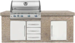 Napoleon LEX 605 Edelstahl Einbaugrill Gas - Modell 2023 -Küchengrill Rabatt napoleon lex605 einbaugrill monatgebeispiel