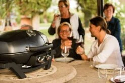 Napoleon TravelQ PRO285 Kompakt Gasgrill Schwarz - Modell 2023 -Küchengrill Rabatt napoleon travelq pro285 als tischgrill 02