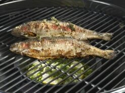 Outdoorchef Gusseisenpfanne / Aromapfanne Ø 23cm -Küchengrill Rabatt outdoorchef aromapfanne 18 211 71 f